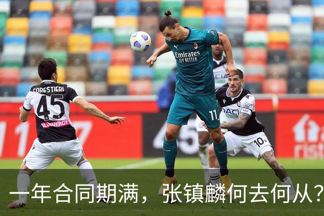 一年合同期满，张镇麟何去何从？两条路可走，看上海诚意如何了