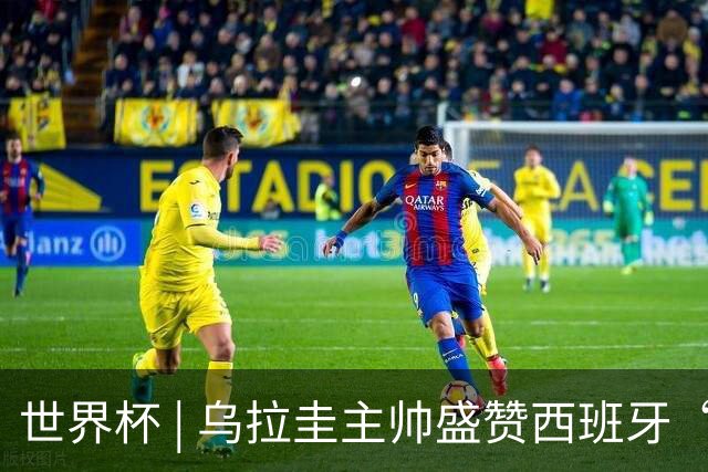 世界杯 | 乌拉圭主帅盛赞西班牙“精致足球”