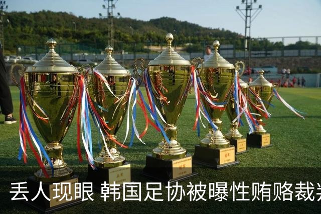 丢人现眼 韩国足协被曝性贿赂裁判，赢中国国奥花51万 洪明甫危险
