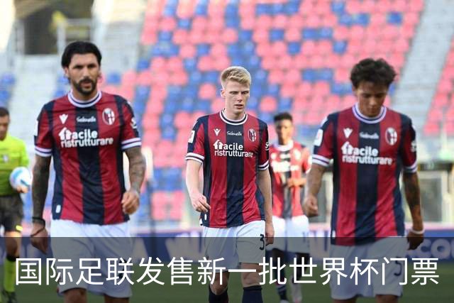 国际足联发售新一批世界杯门票