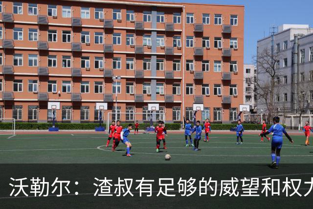 沃勒尔：渣叔有足够的威望和权力去尝试；纳帅已无法激励球队