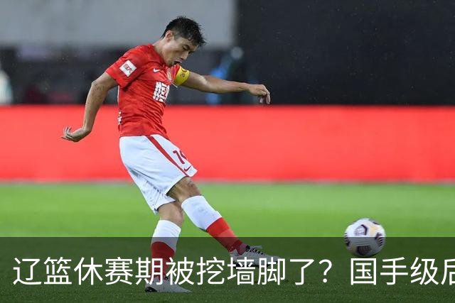 辽篮休赛期被挖墙脚了？国手级后卫恐被交易：变相逼着赵继伟走人